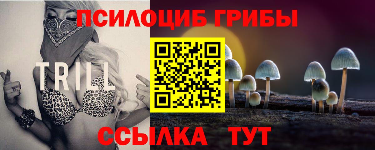 Галлюциногенные грибы MAGIC MUSHROOMS Димитровград